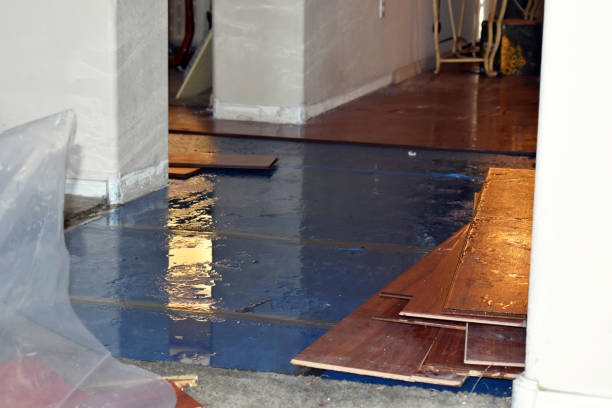 Professional Basement Flood Cleanup technician working in Bentonville, OH
